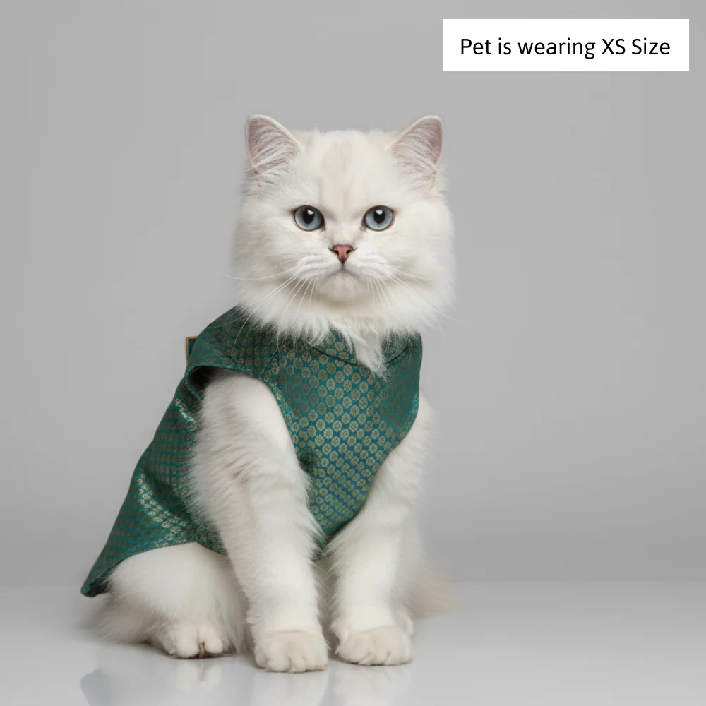 Skatrs Brocade Gold Printed Sherwani for Dogs and Cats (Teal) - Image 5
