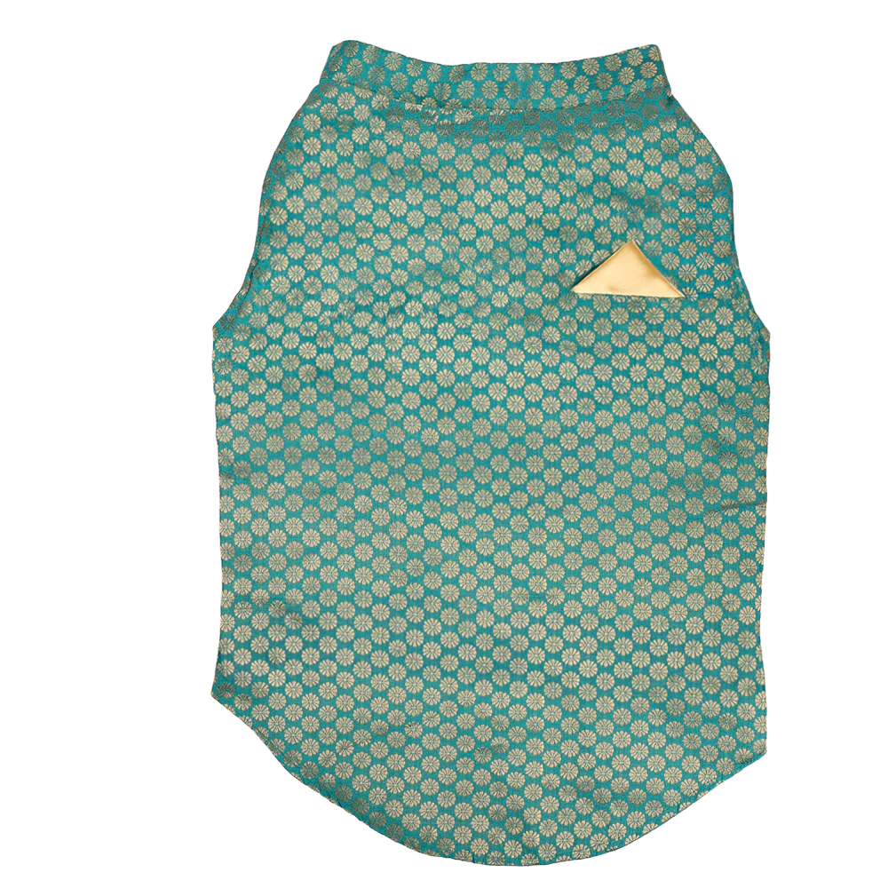 Skatrs Brocade Gold Printed Sherwani for Dogs and Cats (Teal) - Image 8