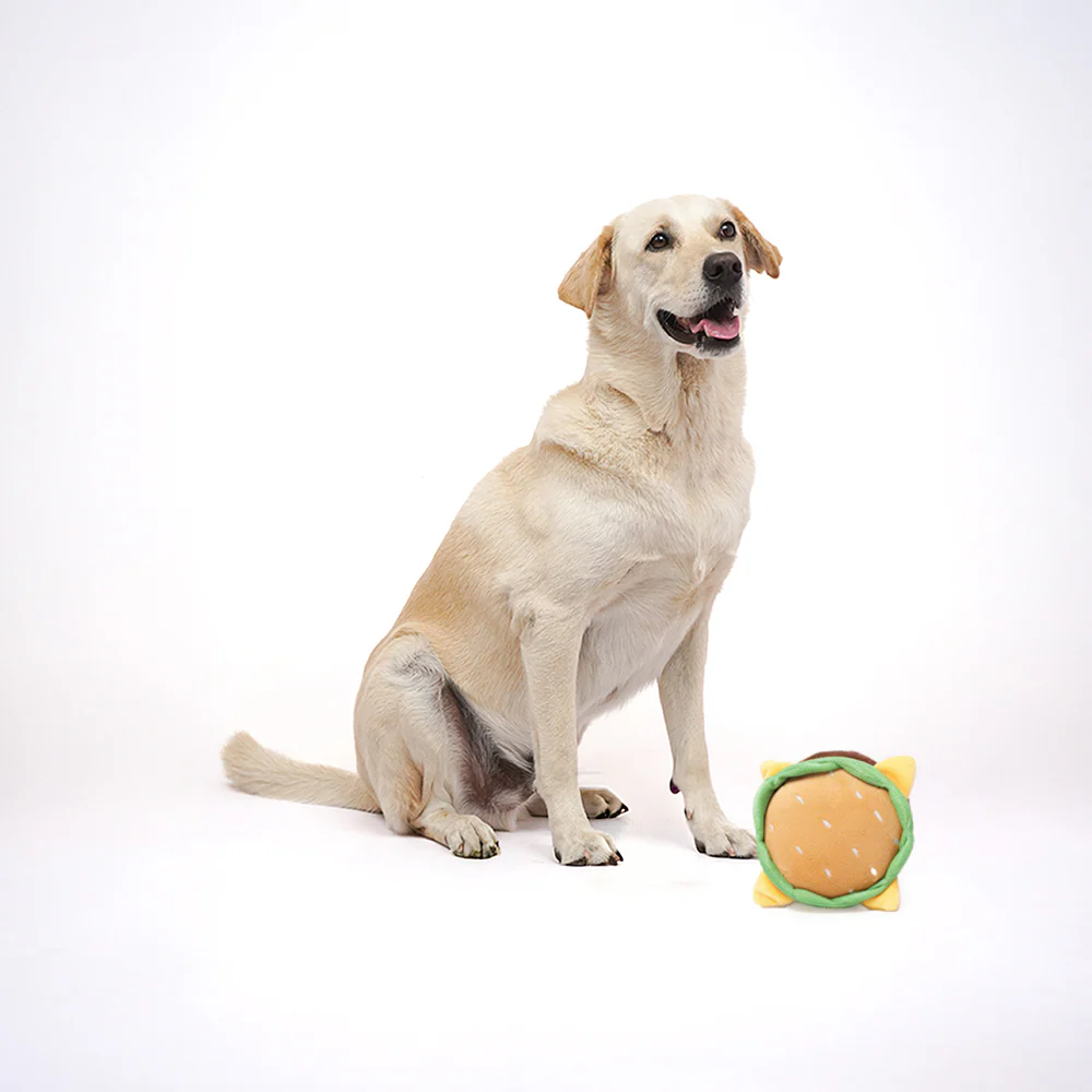 Skatrs Burger Plush Toy for Dogs - Image 4