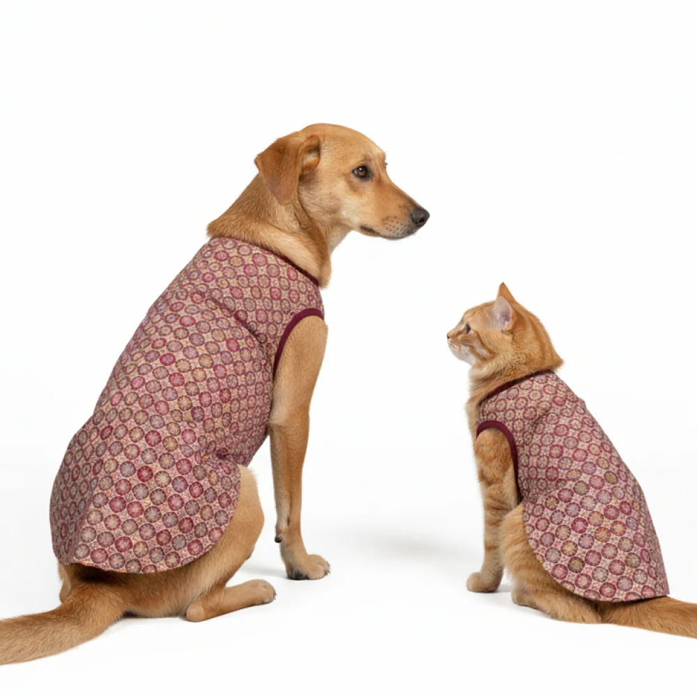 Skatrs Burgundy Regal Ensembl Festive Grace Sherwani for Dogs and Cats - Image 10