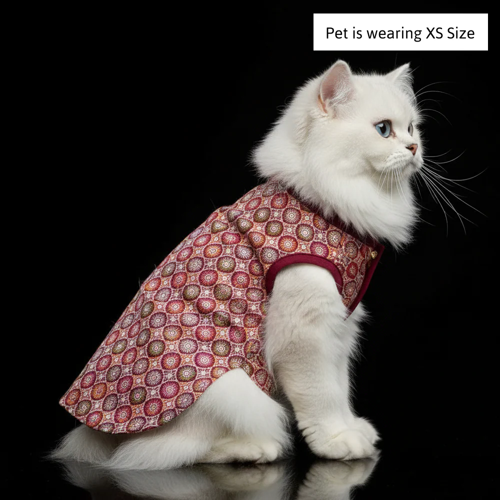 Skatrs Burgundy Regal Ensembl Festive Grace Sherwani for Dogs and Cats - Image 3
