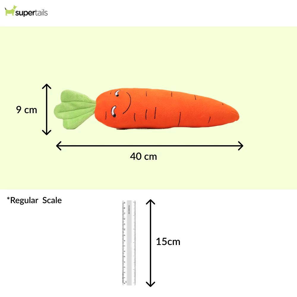 Skatrs Carrot Plush Toy for Dogs - Image 2