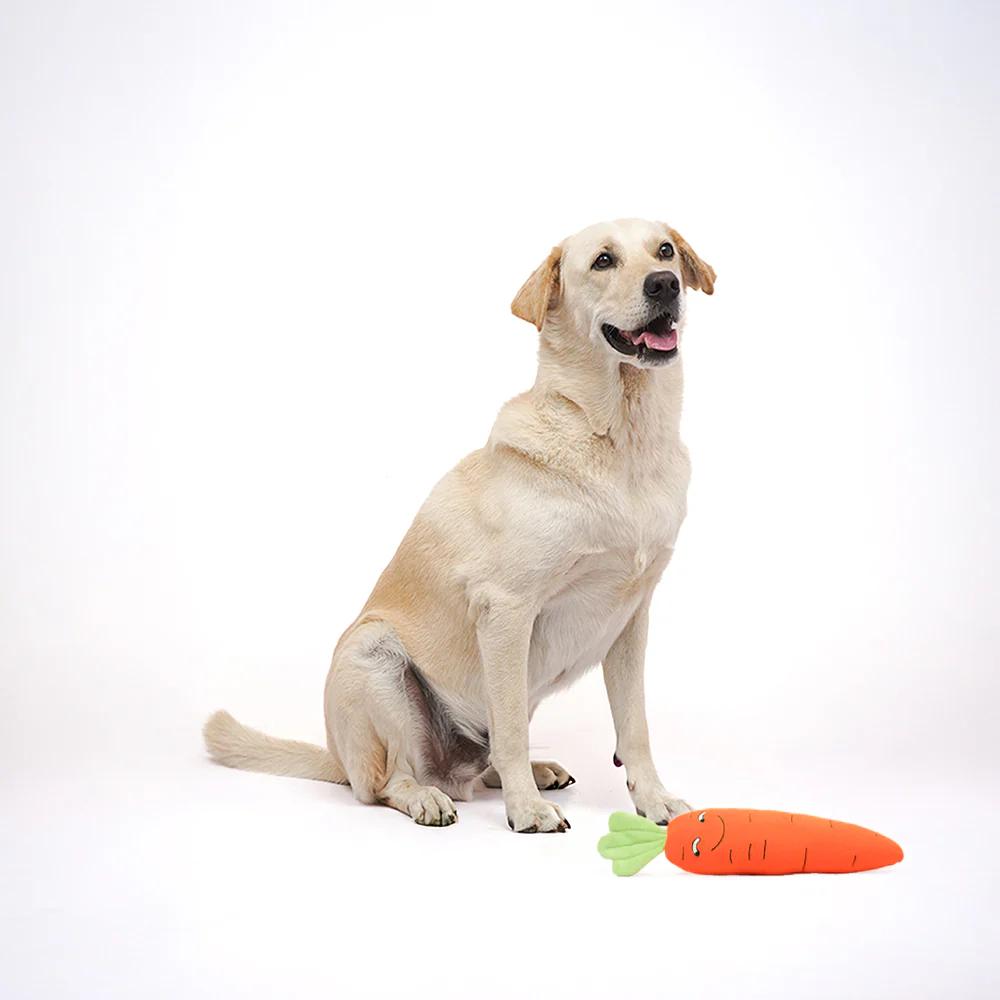 Skatrs Carrot Plush Toy for Dogs - Image 4