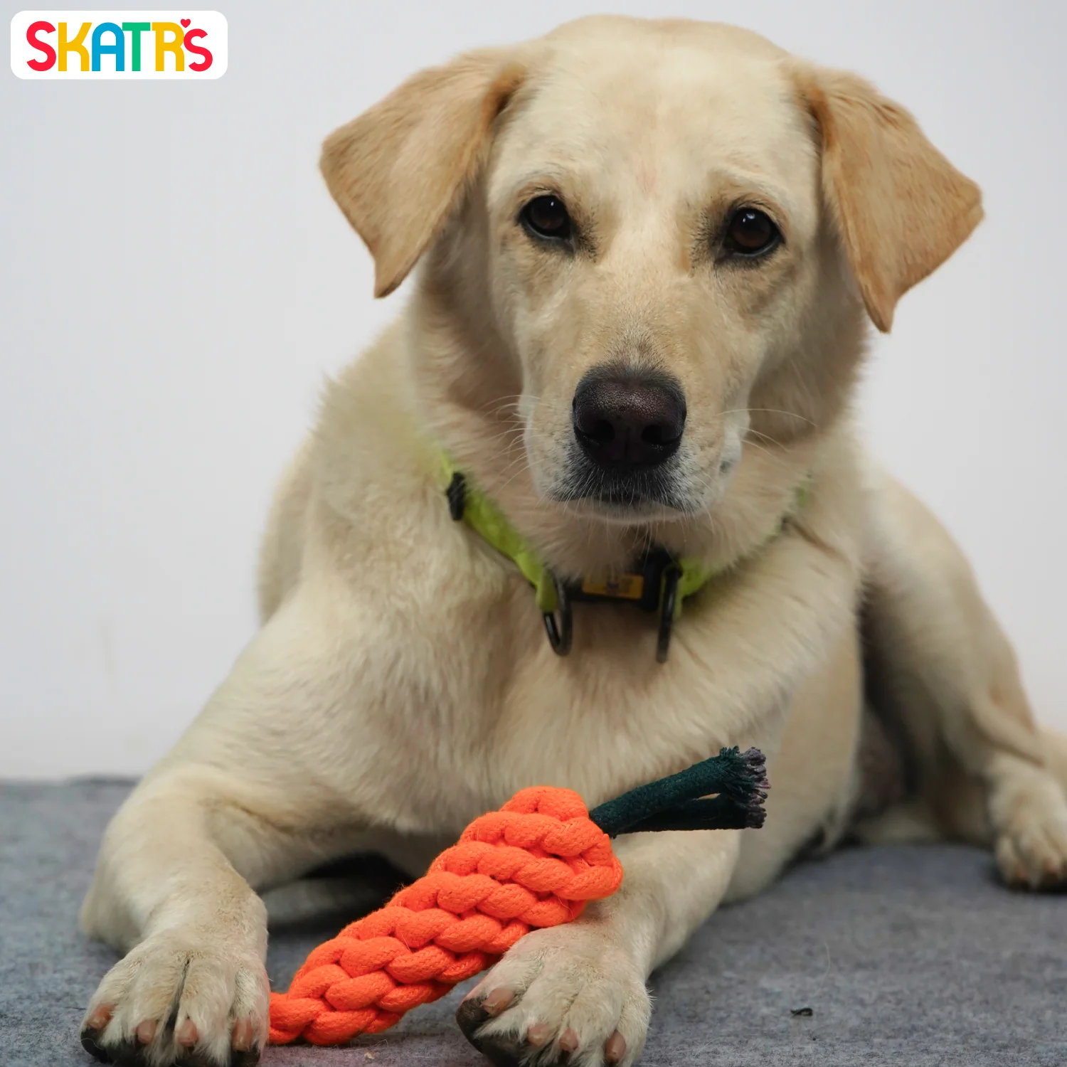 Skatrs Carrot Shaped Rope Chew Toy for Dogs and Cats (Orange) - Image 3