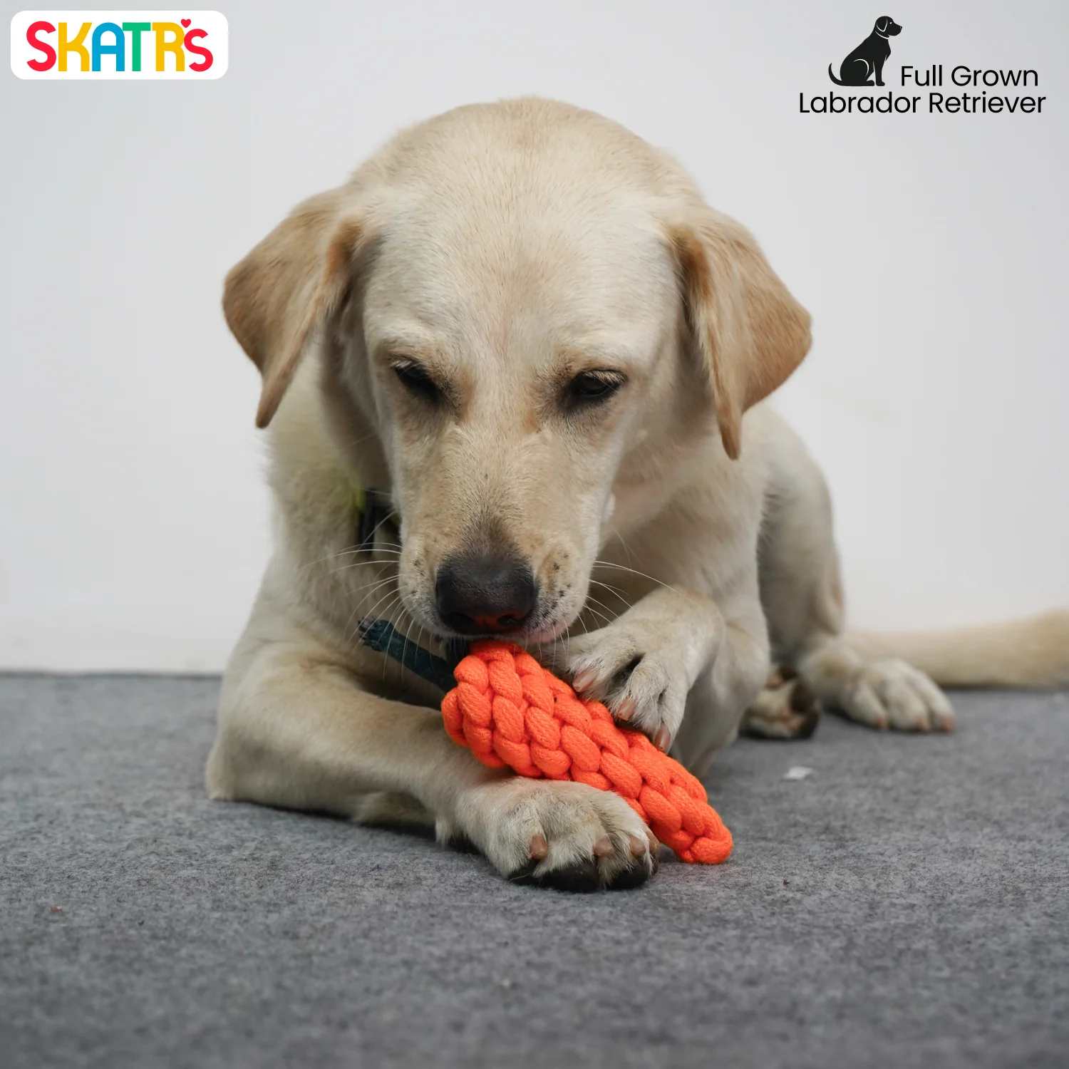 Skatrs Carrot Shaped Rope Chew Toy for Dogs and Cats (Orange) - Image 5