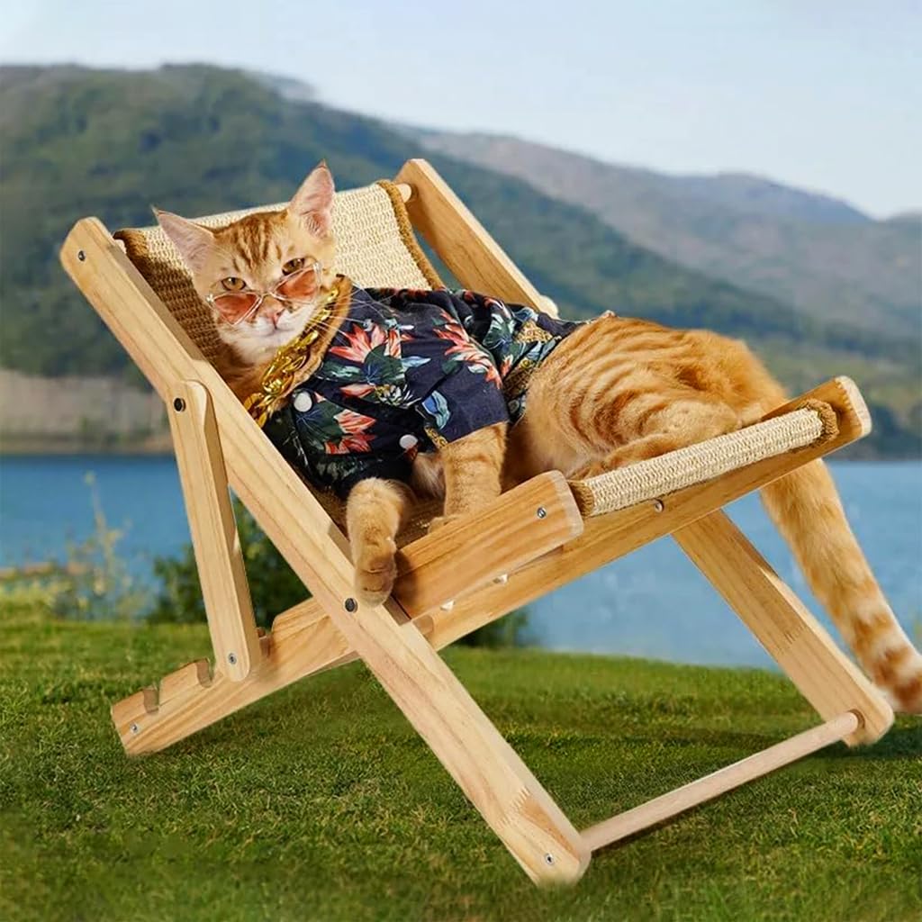 Skatrs Cat Lounger for Cats and Kittens - Image 5