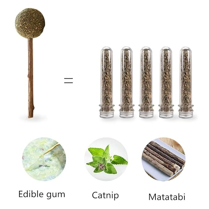 Skatrs Catnip Lollipop Natural Wooden Teeth Cleaning Toy for Cats and Kittens - Image 2