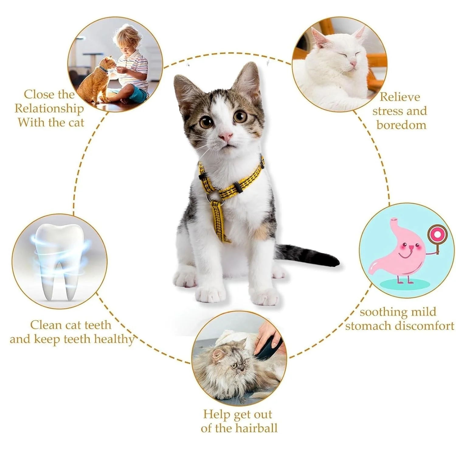 Skatrs Catnip Lollipop Natural Wooden Teeth Cleaning Toy for Cats and Kittens - Image 3