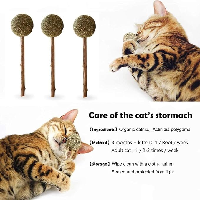 Skatrs Catnip Lollipop Natural Wooden Teeth Cleaning Toy for Cats and Kittens - Image 4