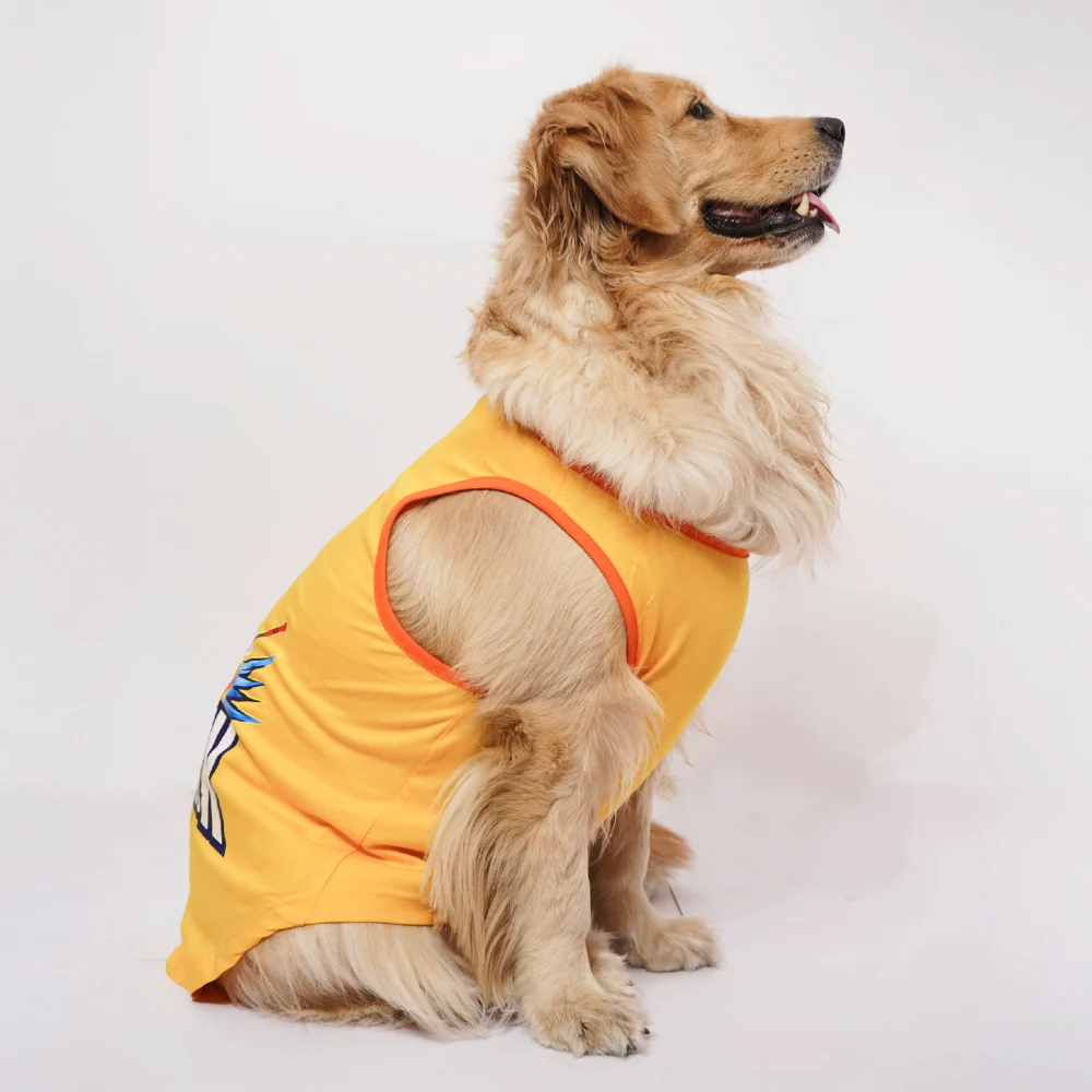 Skatrs Chepawk Superkings Cricket Jersey for Dogs and Cats (Yellow) - Image 6