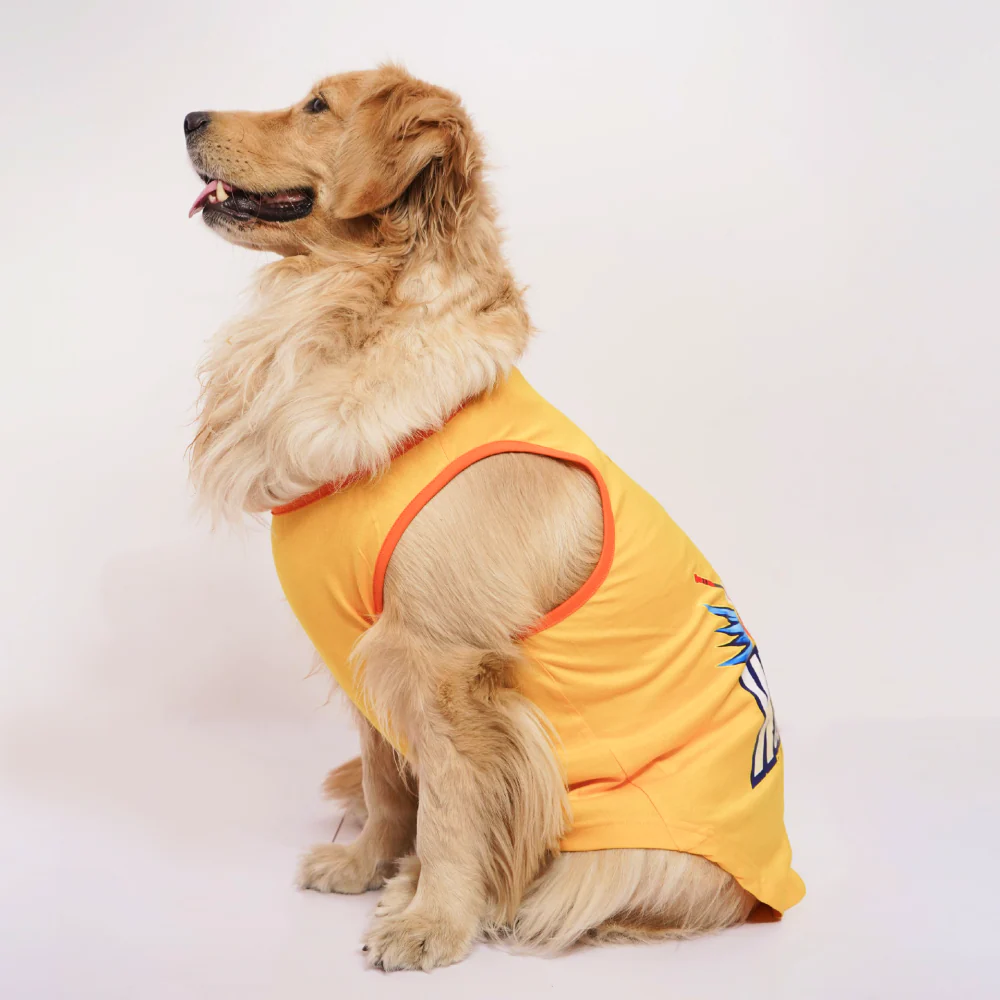 Skatrs Chepawk Superkings Cricket Jersey for Dogs and Cats (Yellow) - Image 7