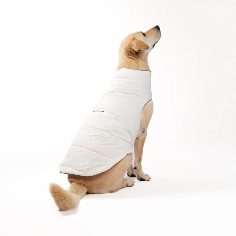 Skatrs Cherry Snuggle Puffer Reversible Jacket for Dogs and Cats - Image 10