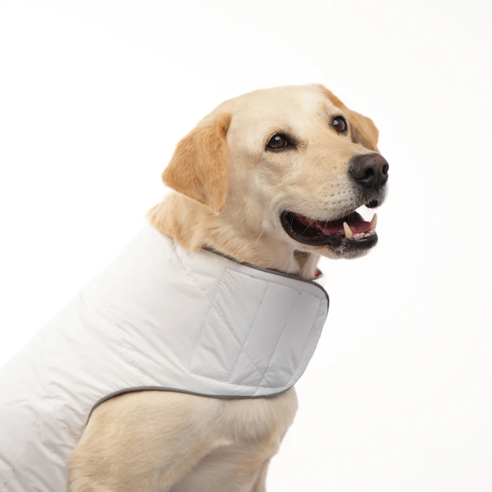 Skatrs Cherry Snuggle Puffer Reversible Jacket for Dogs and Cats - Image 13