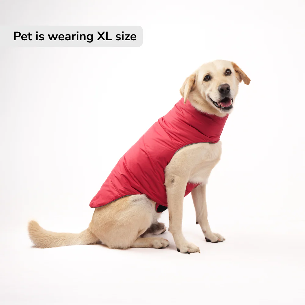 Skatrs Cherry Snuggle Puffer Reversible Jacket for Dogs and Cats - Image 2