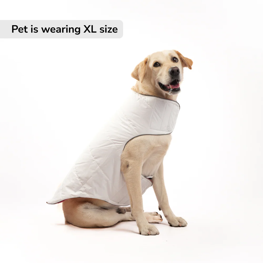 Skatrs Cherry Snuggle Puffer Reversible Jacket for Dogs and Cats - Image 3