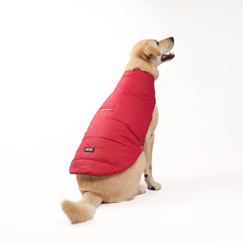 Skatrs Cherry Snuggle Puffer Reversible Jacket for Dogs and Cats - Image 8