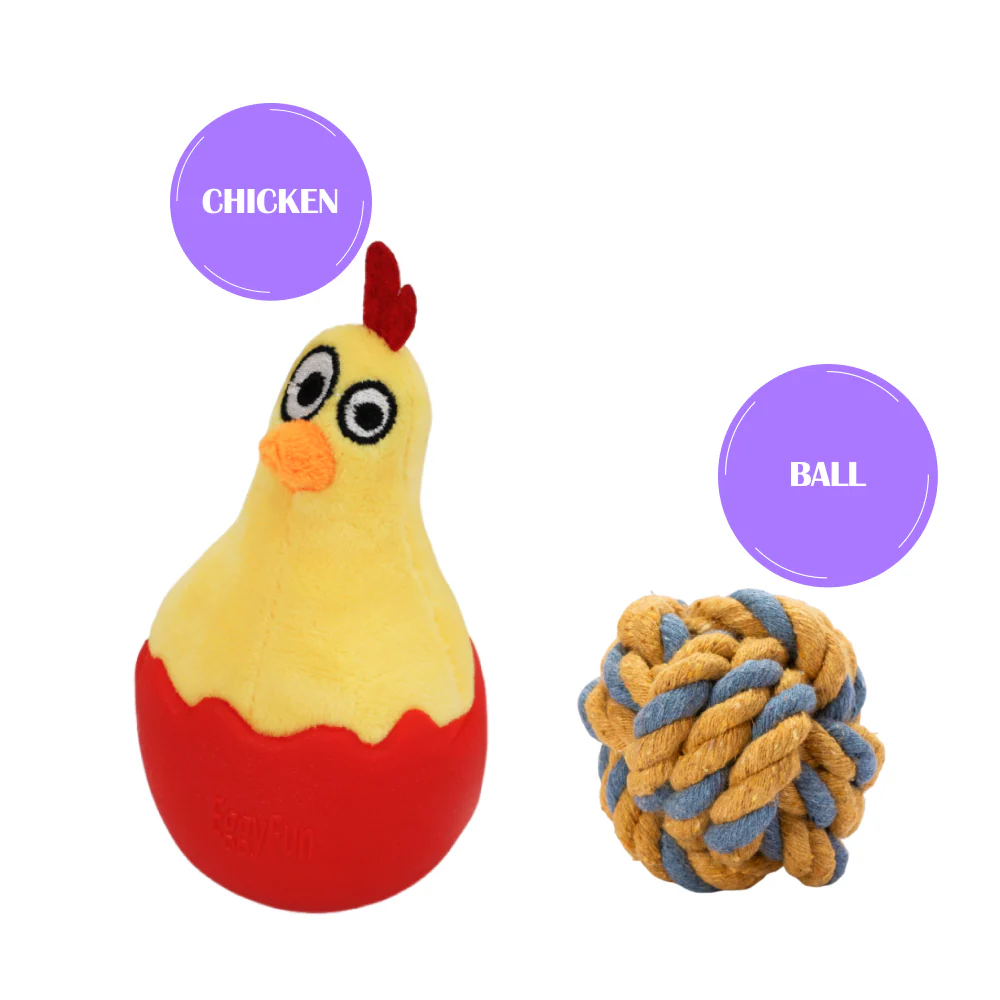 Skatrs Chicken in Egg Wobble Toy for Dogs - Image 4