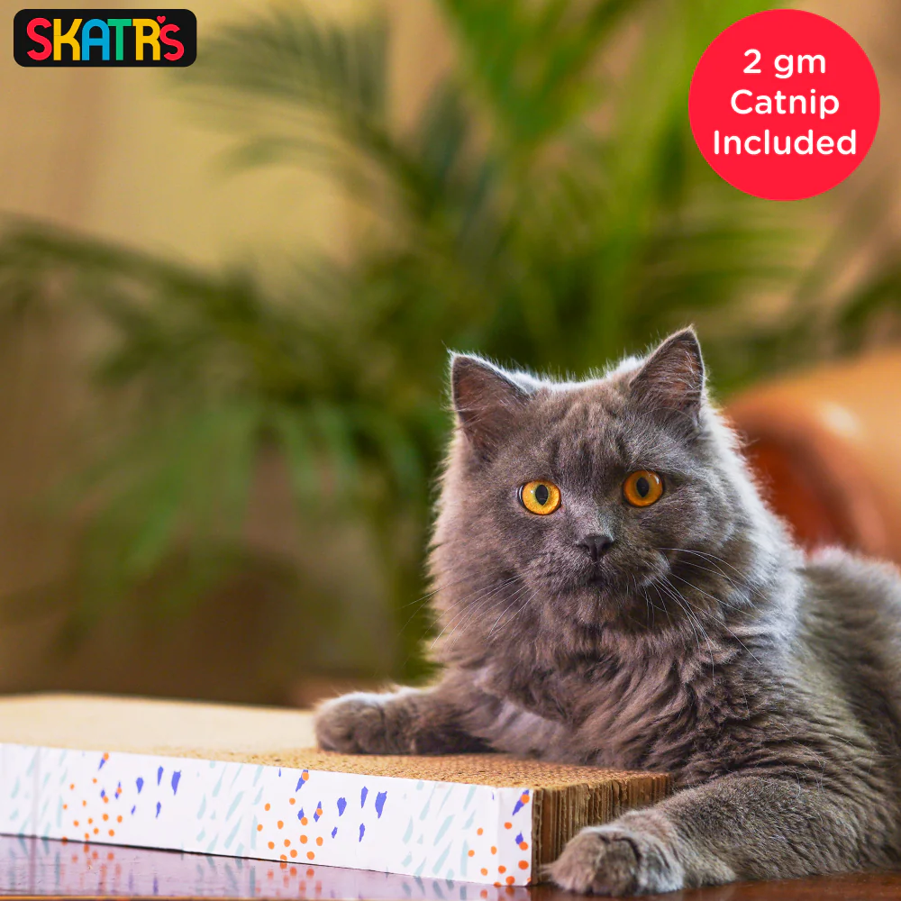 Skatrs Claw Comfort Cat Scratcher with 2g Premium Catnip Free - Image 4