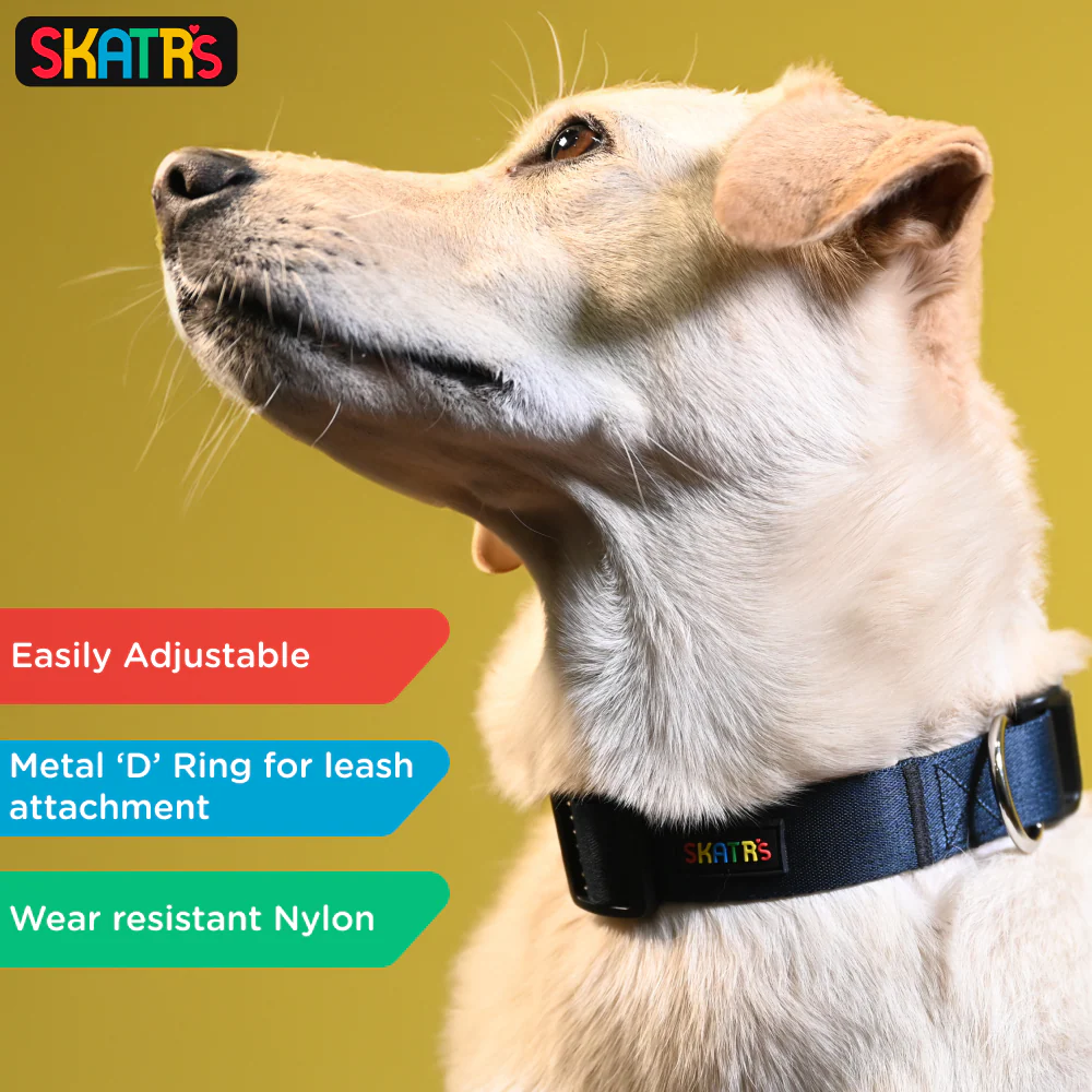 Skatrs Premium Adjustable Collar for Dogs (Dark Blue) - Image 3