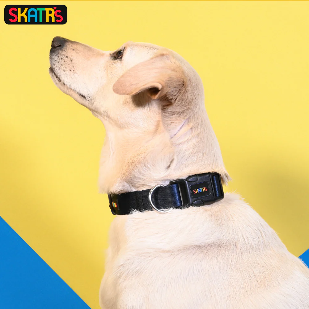 Skatrs Premium Adjustable Collar for Dogs (Dark Blue) - Image 4