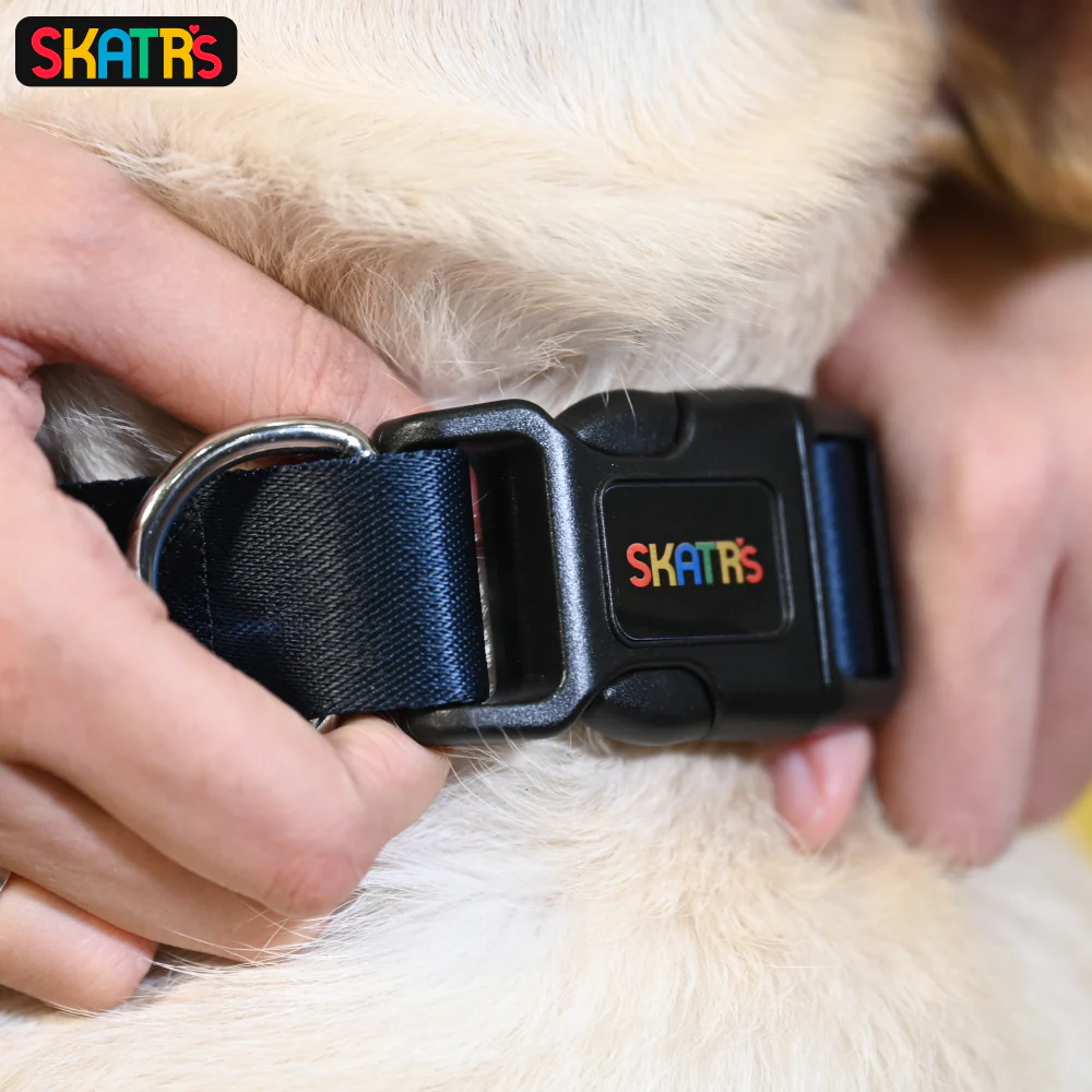 Skatrs Premium Adjustable Collar for Dogs (Dark Blue) - Image 5