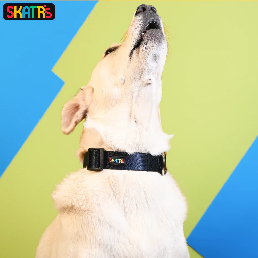 Skatrs Premium Adjustable Collar for Dogs (Dark Blue) - Image 7