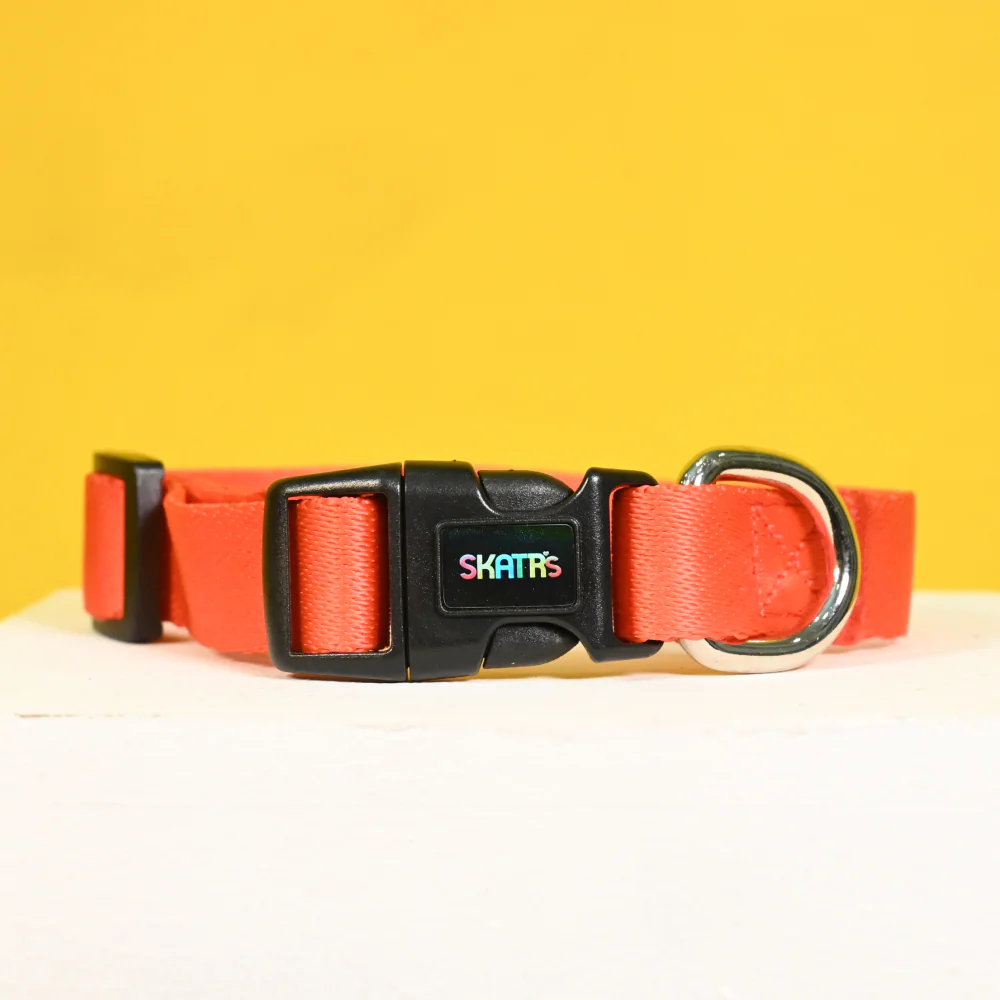 Skatrs Collar for Dogs (Red)