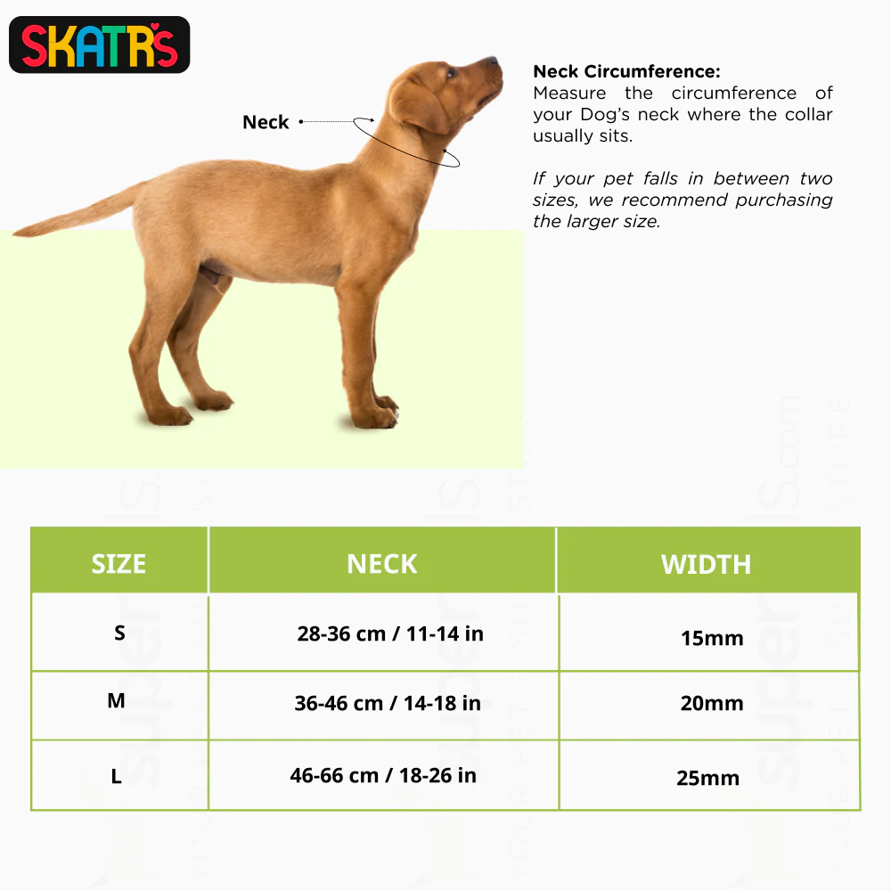 Skatrs Premium Adjustable Collar for Dogs (Red) - Image 2