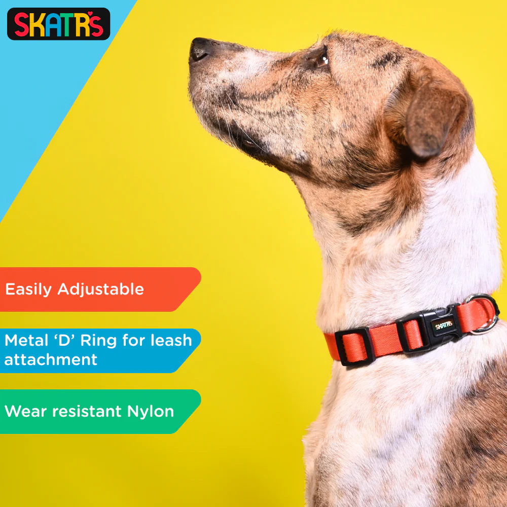 Skatrs Premium Adjustable Collar for Dogs (Red) - Image 3