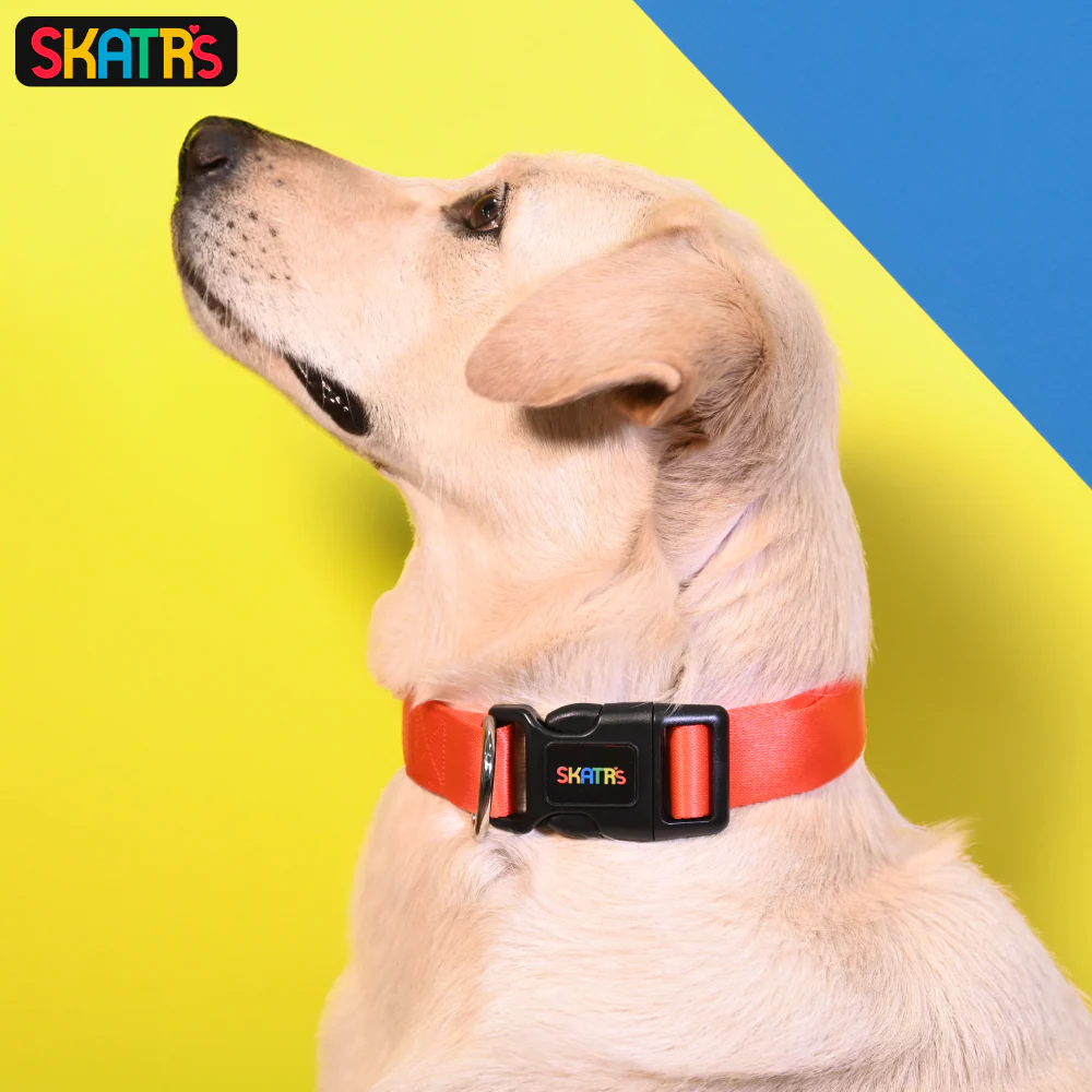 Skatrs Premium Adjustable Collar for Dogs (Red) - Image 4