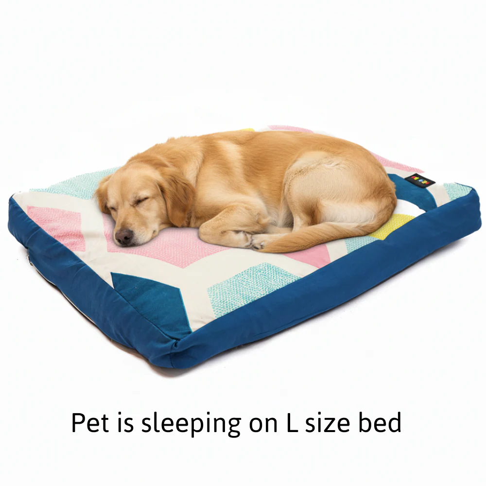 Skatrs ColorPop Flat Bed for Dogs & Cats - Image 5