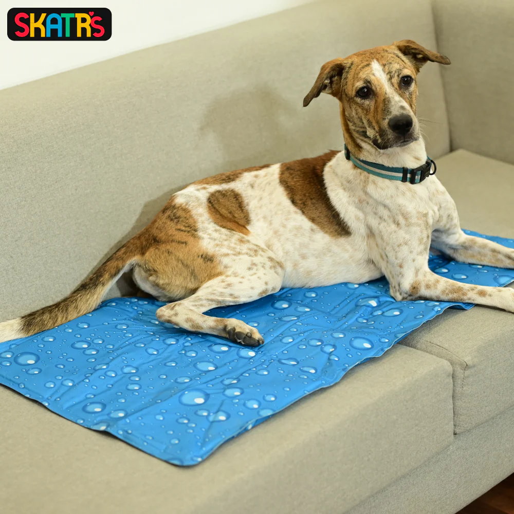 Skatrs Cooling Mat for Dogs (Blue) - Image 3
