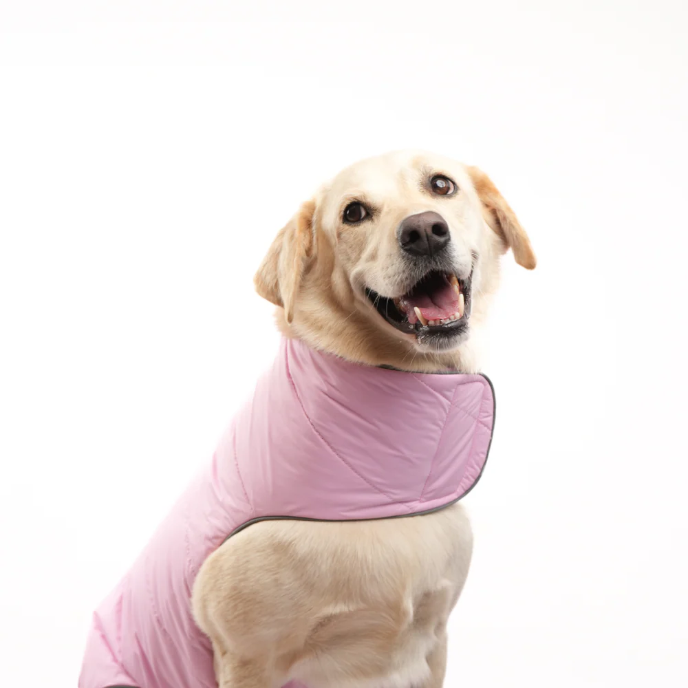 Skatrs Cotton Candy Cuddles Puffer Reversible Jacket for Dogs and Cats - Image 5