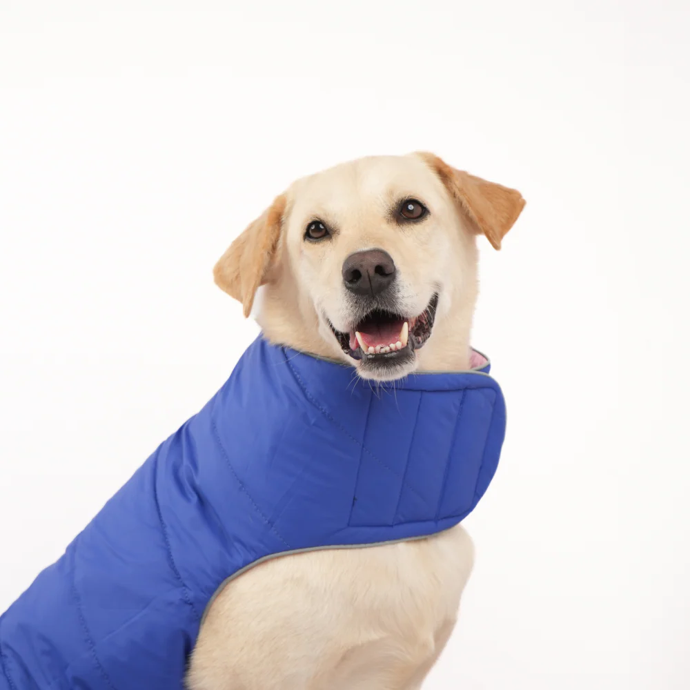 Skatrs Cotton Candy Cuddles Puffer Reversible Jacket for Dogs and Cats - Image 6