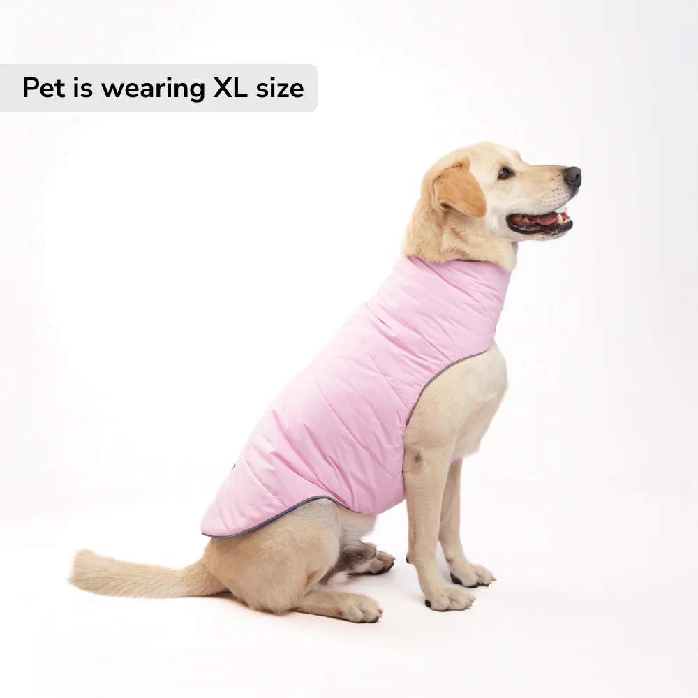 Skatrs Cotton Candy Cuddles Puffer Reversible Jacket for Dogs and Cats - Image 7