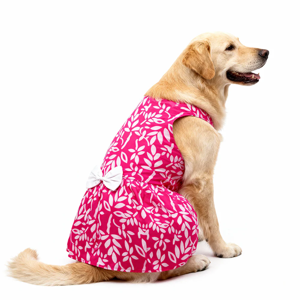 Skatrs Cotton Dress for Dogs and Cats (Hot Pink and White) - Image 9
