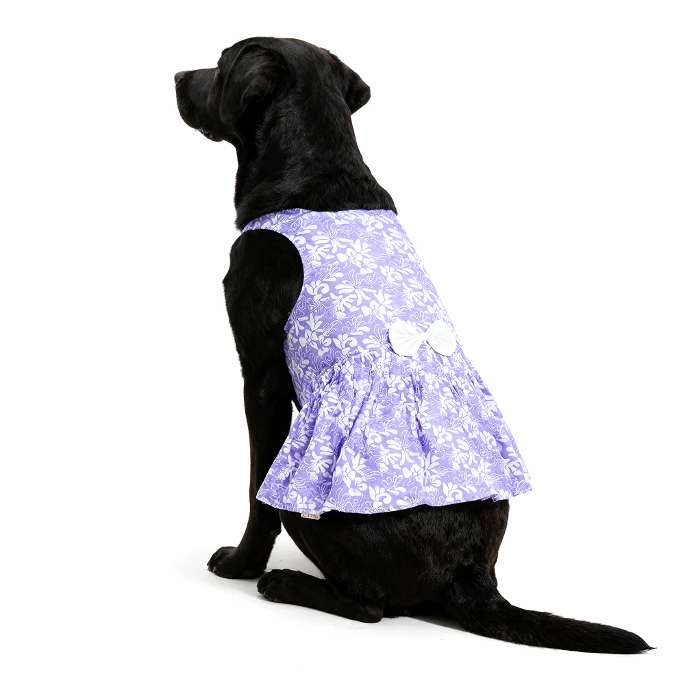 Skatrs Cotton Dress for Dogs and Cats (Lavender and White) - Image 8