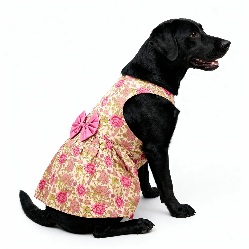 Skatrs Cotton Dress for Dogs and Cats (Off White and Pink Lotus) - Image 9