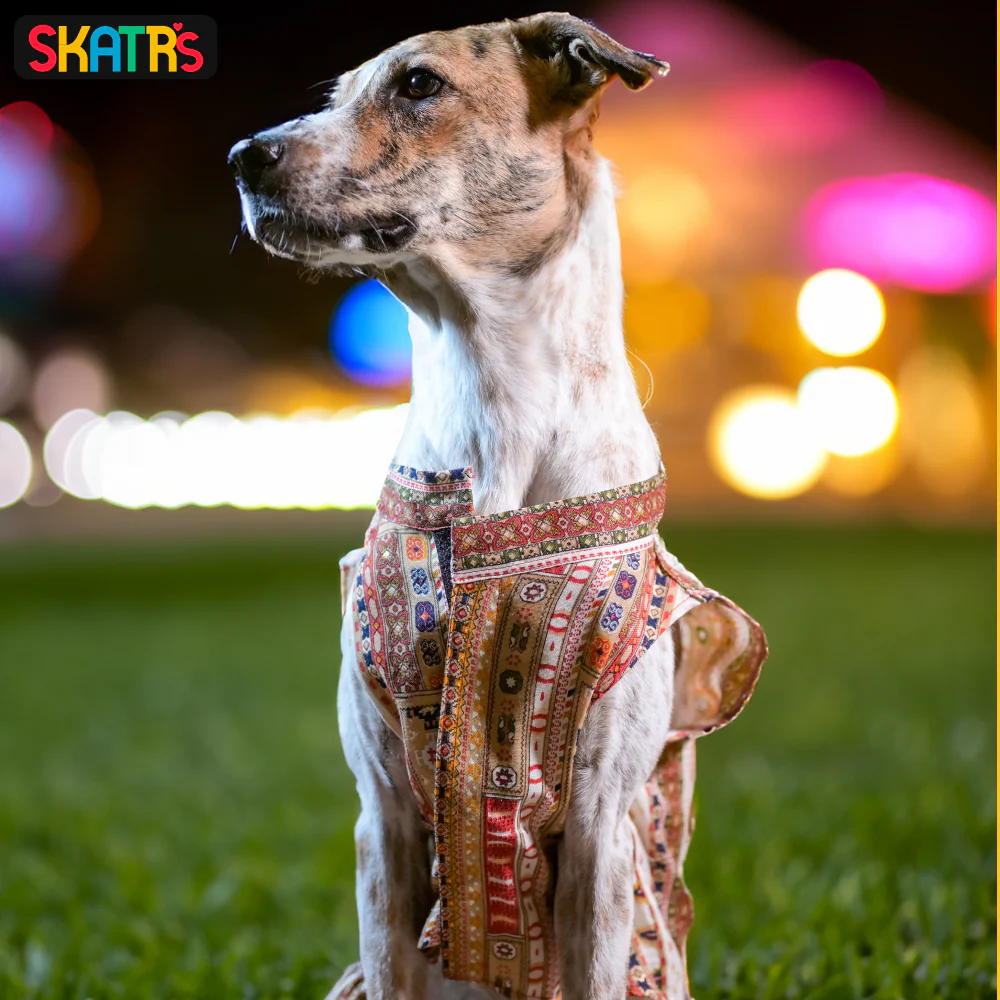 Skatrs Cotton Printed Dress for Dogs and Cats (White) - Image 4