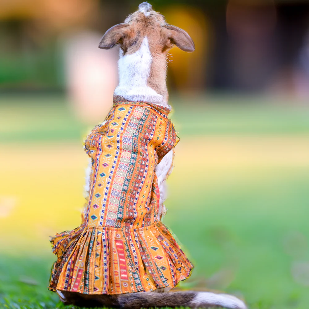 Skatrs Cotton Printed Dress for Dogs and Cats (Yellow) - Image 2