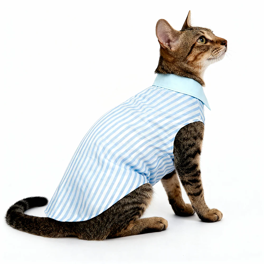 Skatrs Cotton Shirt for Dogs and Cats (Blue and White Stripes) - Image 8