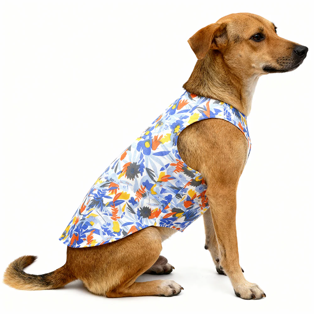 Skatrs Cotton Shirt for Dogs and Cats (Blue Beach Print) - Image 10
