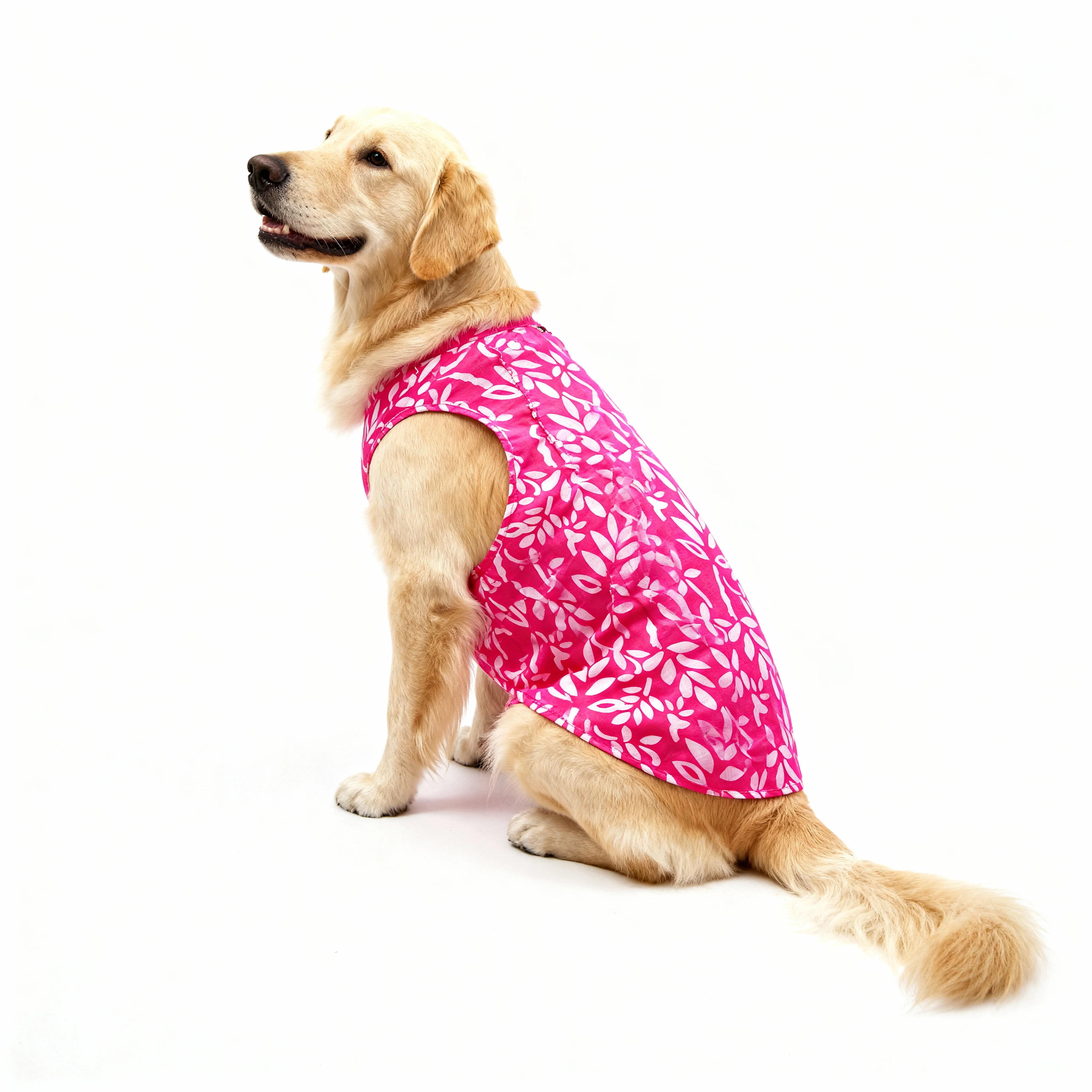 Skatrs Cotton Shirt for Dogs and Cats (Hot Pink and White) - Image 2