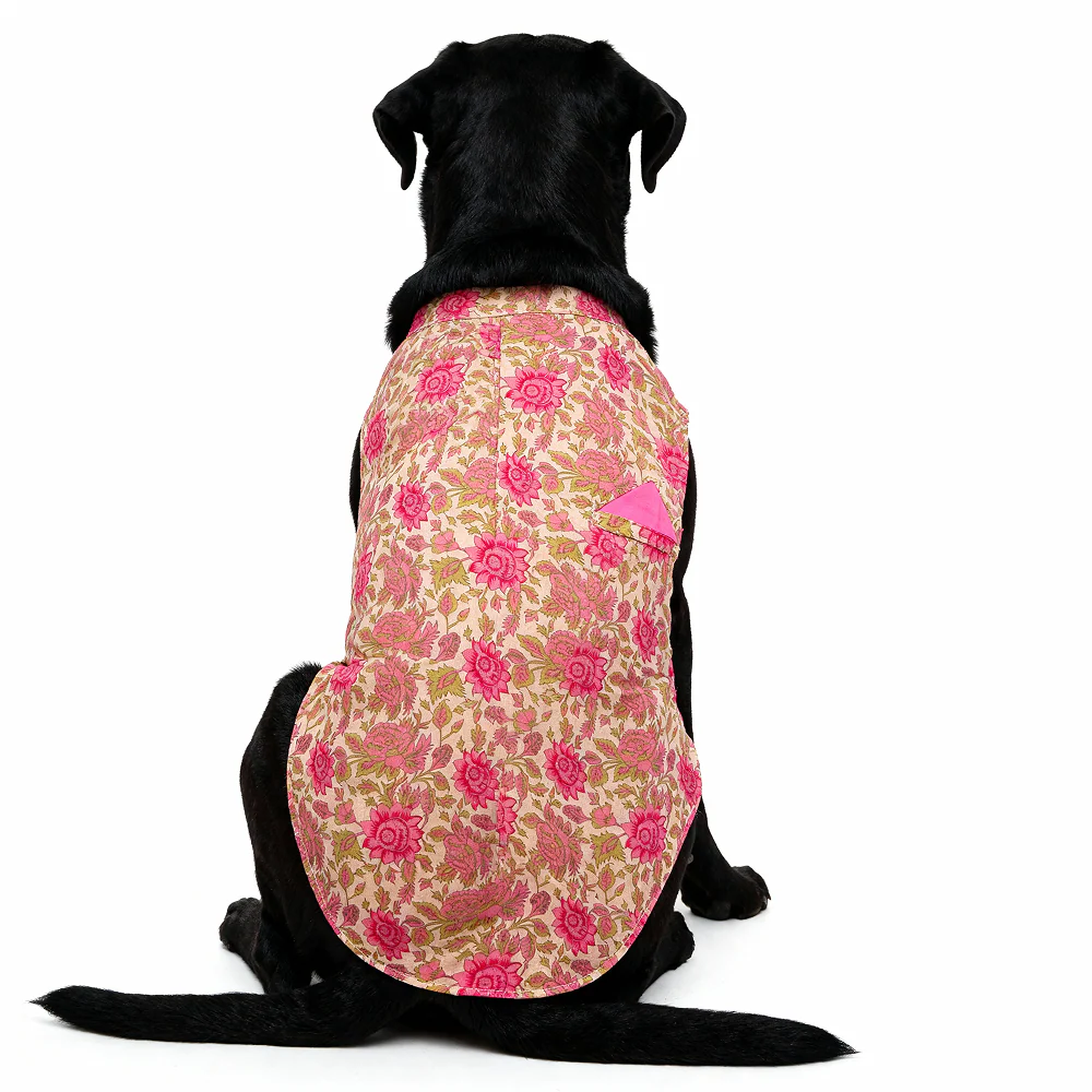 Skatrs Cotton Shirt for Dogs and Cats (Off White and Pink Lotus) - Image 5