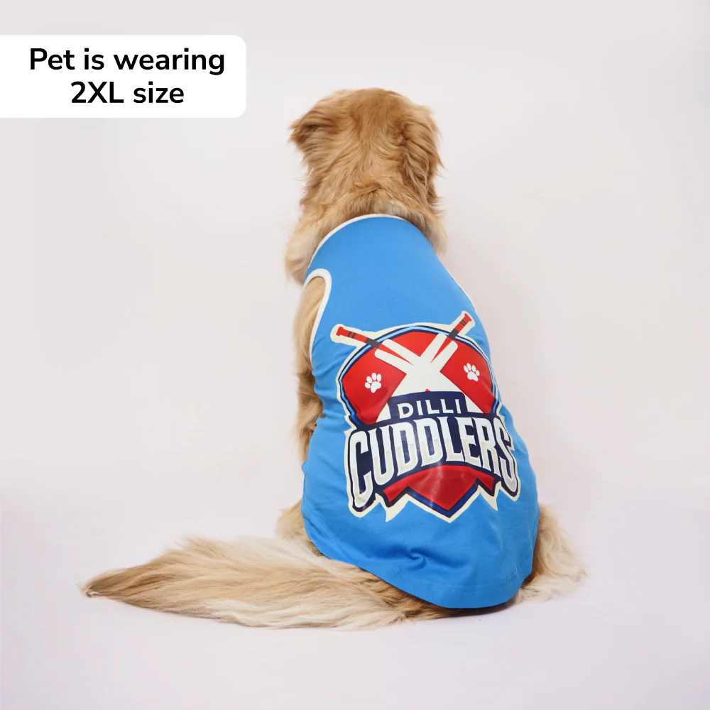Skatrs Dilli Cuddlers Cricket Jersey for Dogs and Cats (Blue) - Image 4