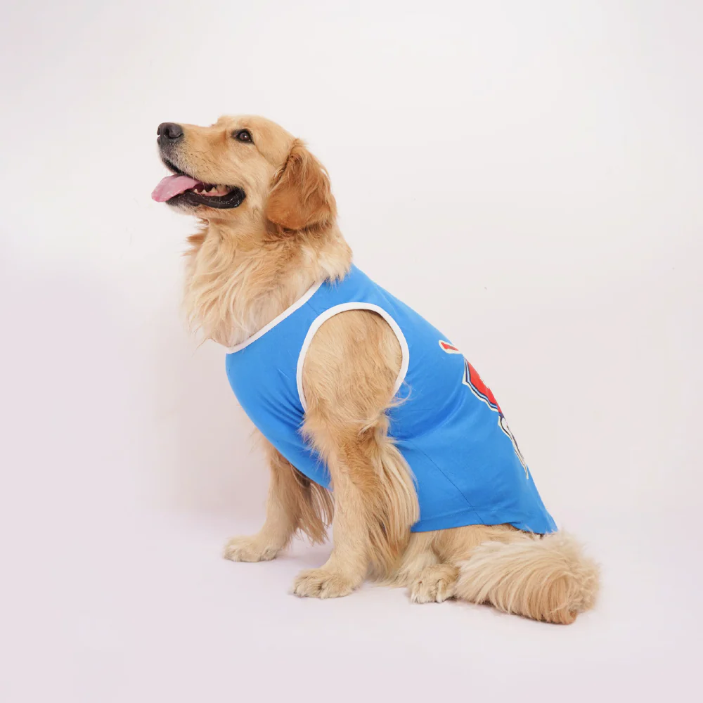 Skatrs Dilli Cuddlers Cricket Jersey for Dogs and Cats (Blue) - Image 5