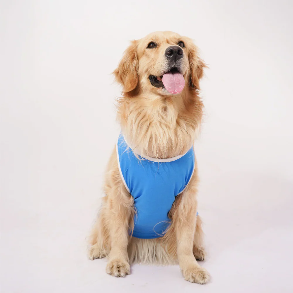 Skatrs Dilli Cuddlers Cricket Jersey for Dogs and Cats (Blue) - Image 6