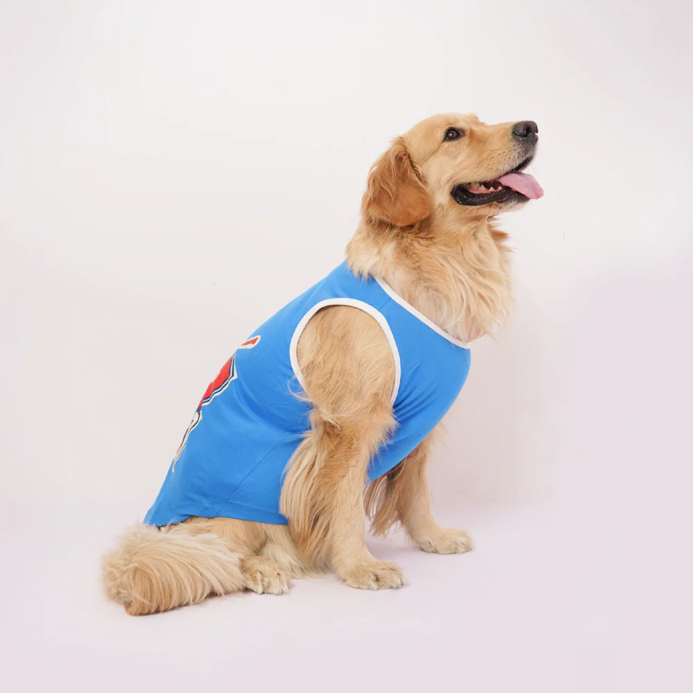 Skatrs Dilli Cuddlers Cricket Jersey for Dogs and Cats (Blue) - Image 7