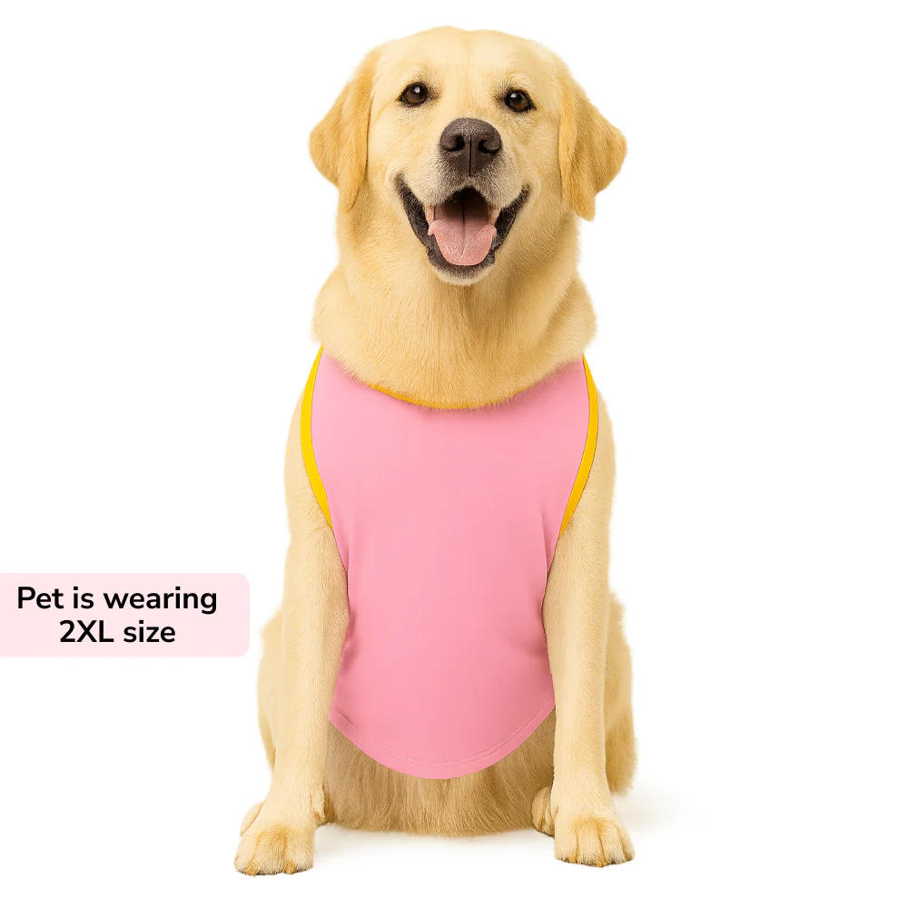 Skatrs Duck Duck Duck Cotton T shirt for Dogs and Cats - Image 6