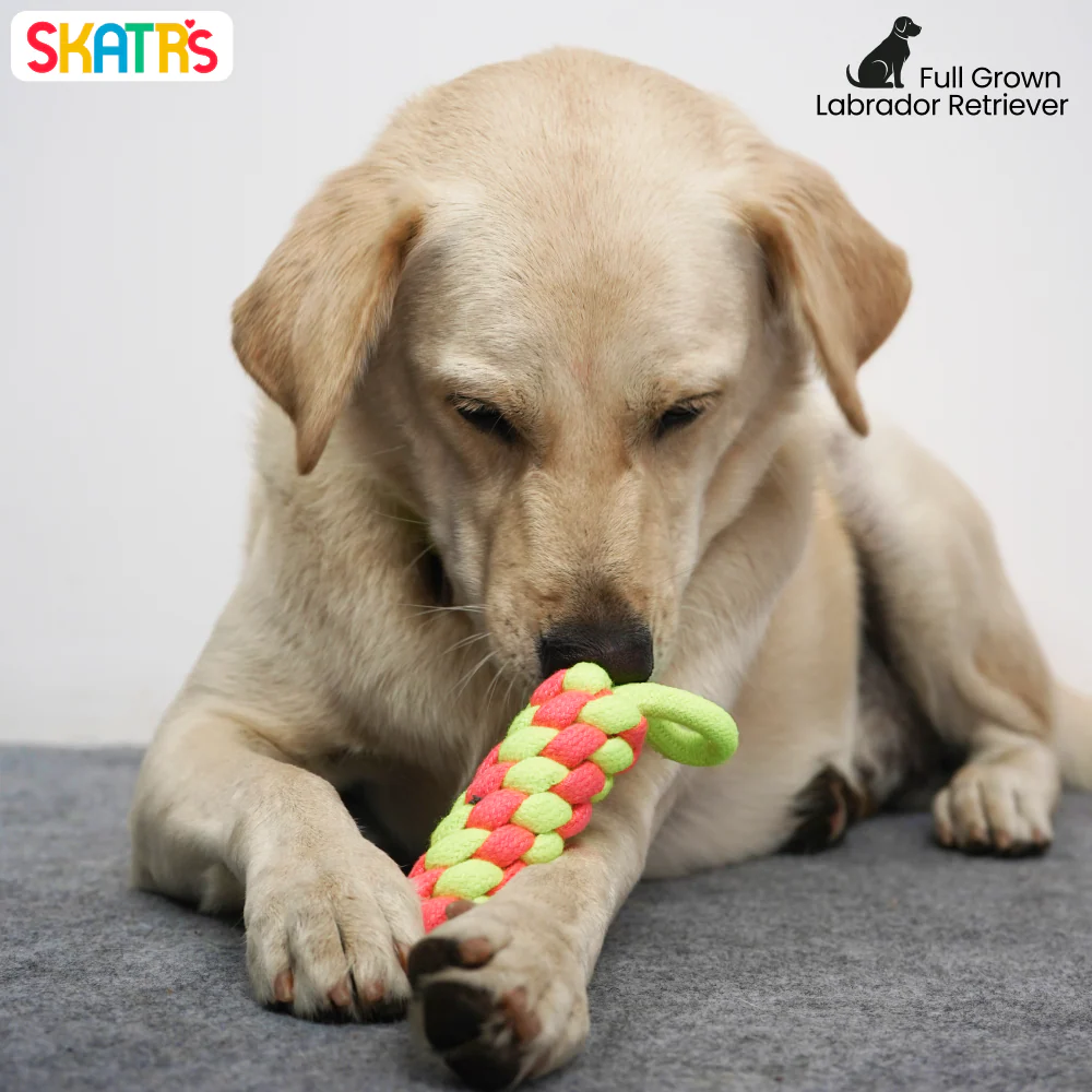 Skatrs Dummy Knotted Rope Chew Toy for Dogs and Cats (Pink/Green) - Image 4